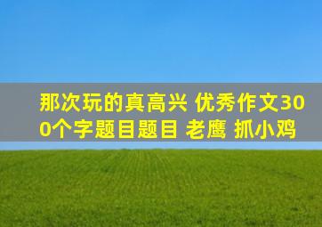 那次玩的真高兴 优秀作文300个字题目题目 老鹰 抓小鸡